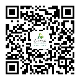 mp-qrcode