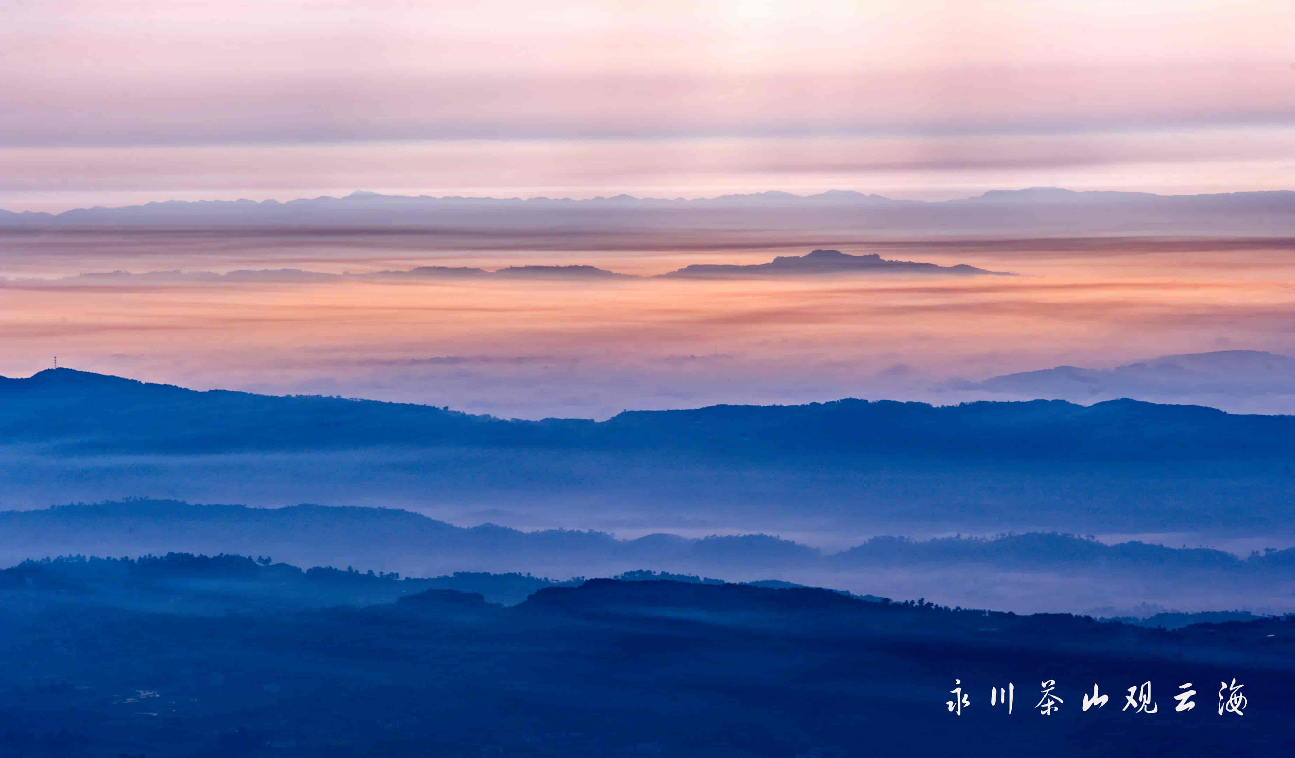 /images/景区照片/李林/茶山观云海.jpg